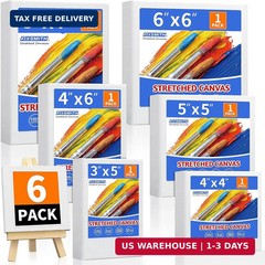 Stretched Canvas for Painting Pack of 6 Pre-Primed Wood Framed Blank White Canva