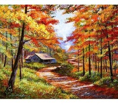 Paint By Numbers Adults kids Autumn Forest Land DIY Painting Kit 40x50CM Canvas