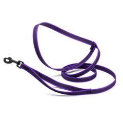 Dogline Rubber Infused Nylon Walking Leash W3/4″ x L8′ – Purple