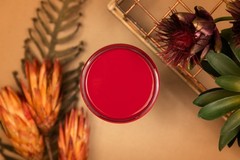 Dixie Belle – Silk Paint Fiery Sky 16oz- FREE SHIPPING!