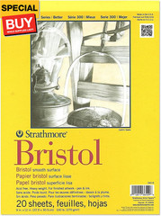 300 Series Bristol Smooth 9 in. X 12 in. [Pack of 2] (2PK-342-9-1)