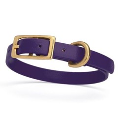 Dog Pet Collar with Brass Hardware Size XS W 1/2” L 9” – 12” Violet Purple