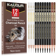 Pro Colored Charcoal Drawing Set,12 Pieces Pastel Chalk Pencils for Sketching…