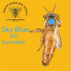 2025 Sky Blue Queen Bee Marker Uni Posca PC5M.8 Water-Based Non-Toxic