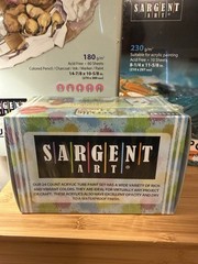 Sargent Art Acrylic Bundle Set Paint 24 Tube Set