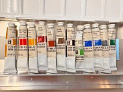 Winsor & Newton Cotman- 12-Piece Watercolor Paint Set – Paint is hard