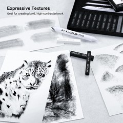 15 Pro Compressed Charcoal Drawing Set with Blending Stumps Soft,Medium,Hard …