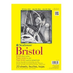 Artist-Grade 300 Series Bristol Vellum Pad – 9×12, 100lb for Impressive Art