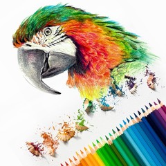 24Pcs Watercolor Pencil for Coloring, Drawing, Painting, Black