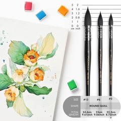3PCS Squirrel Hair Watercolor Brushes, Fuumuui Professional Mop Round Quill D…