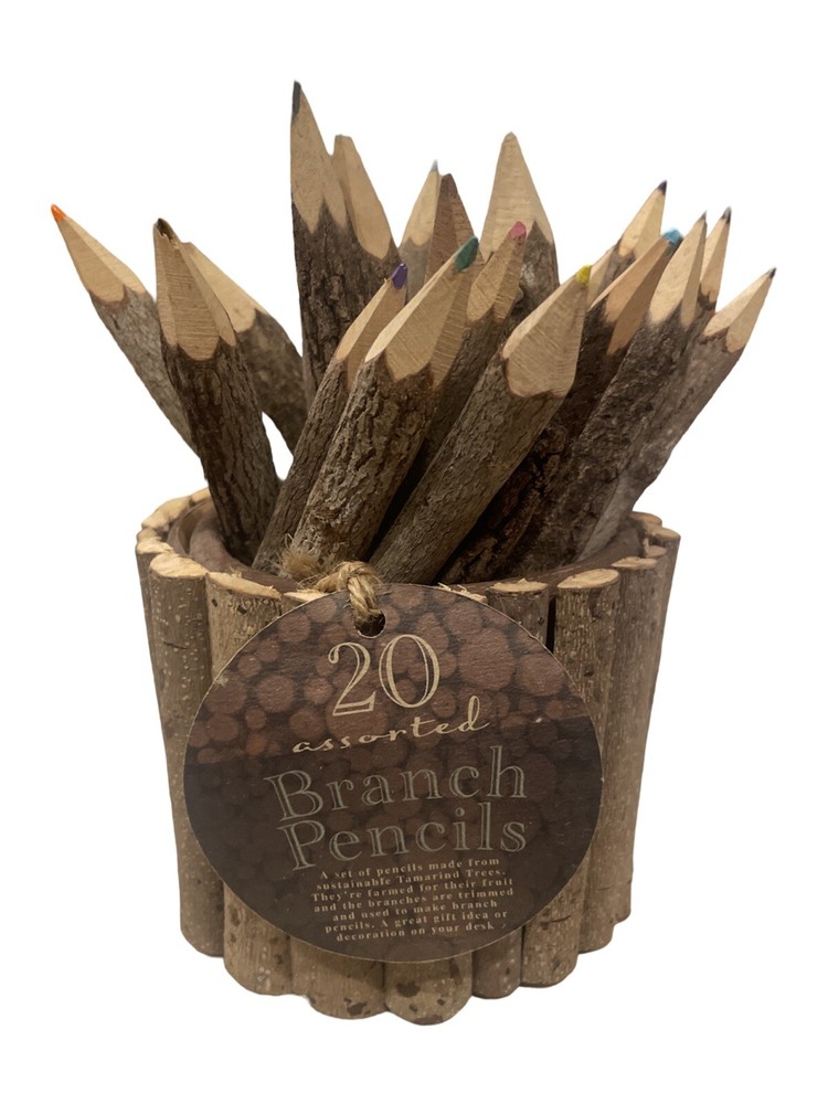 20 Assorted Branch Colored Pencils With Matching Wooden Holder