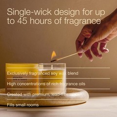 Bath & Body Works Single Wick Candle, 8 Oz (Pack of 1), Cream, Light Brown