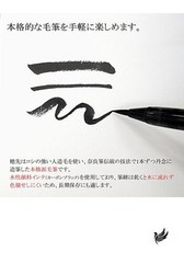 Akashiya AK3200MK-25 Natural Bamboo Brush Pen Cherry Blossom/Paulownia Box