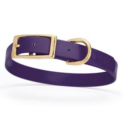 Dog Pet Collar with Brass Hardware Size M W 3/4” L 15” – 18” Violet Purple