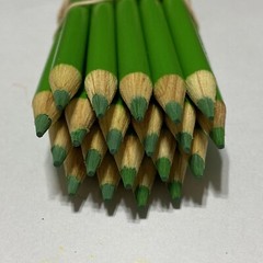 (20) Crayola Colored Pencils (yellow green) BULK