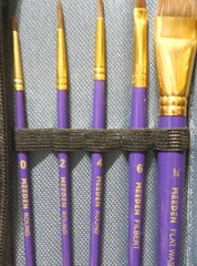MEEDEN Watercolor Brushes Professional 10 Pack Synthetic & Pony Hair Artist Case