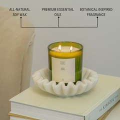Craft & Kin 12oz Amber Moss Candle for Home | Premium Green Spring