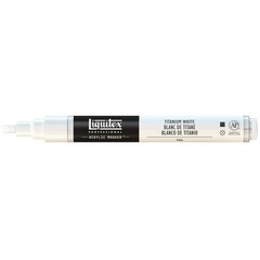 Professional Paint Marker, Fine Nib