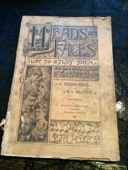 Vintage Heads & Faces How To Study Them 1886