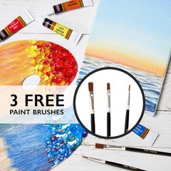 Acrylic Paint Set Canvas Art Paints 24 Colors Perfect Paint Finish 0.41oz,12 …