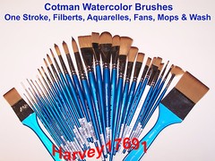 Winsor & Newton Cotman Watercolor Brushes – Flats, Filberts, Fans, Mops & Wash
