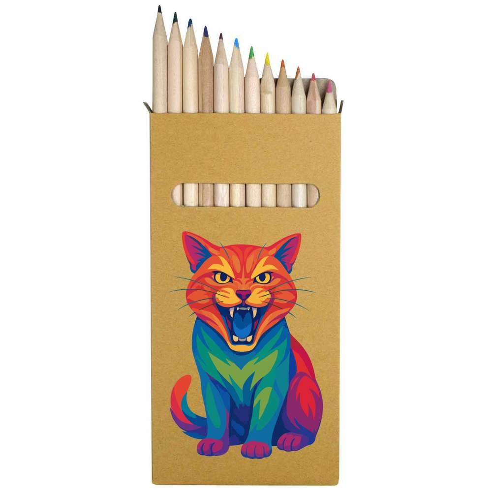 12 x ‘Pop Art Fierce Cat’ Long 178mm Coloured Pencils / Pencil Set (PE00078561)