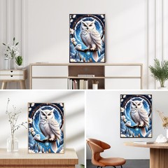 QINRUBB DIY White Owl Diamond Art Kit for Adults 12×16 inches, USQR369