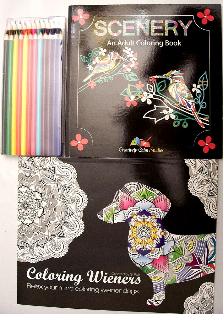 3 PC LOT – TWO ADULT COLORING BOOKS AND 24 COLORED PENCILS DOGS ANIMALS NATURE