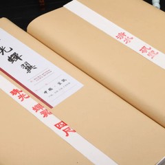 10Pc Ultra-Thin Ripe Xuan Rice Paper Ink Gongbi Painting Copy Calligraphy 云母蝉衣