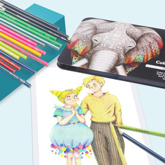 Colored Pencil Set for Adults Artists 12 Metallic Pencil Tin Case