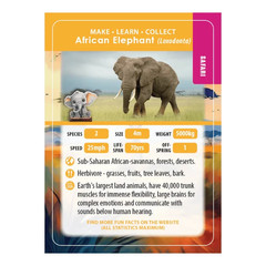 Elephant Crystal Art Wildlife Buddies