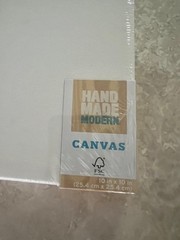 Hand Made Modern 10 in x 10 in blank white canvas from Target, FSC certified