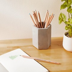Colored Pencils, Pre-Sharpened, 120 pack (24 colors, 5 each), Multicolor