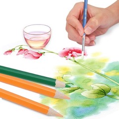 Watercolor pencil set, 48 assorted colors colored pencils for artists