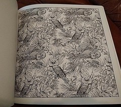 ADULT COLORING BOOK Advanced WINTER WONDERLAND Mitten Hats Deer Cardinal Sweater