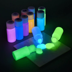 20/30G Fluorescent Pigment Long-Lasting Luminous Paints Auto Glow Glow in Dark A