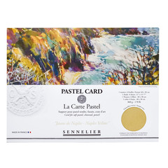 Sennelier La Carte Pastel Card Pochette 15.75 X 11 Monochromatic Naples Yellow