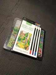 Crayola Signature Blend & Shade Colored Pencils 24ct with Decorative Tin