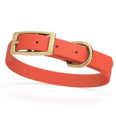 Dog Pet Collar with Brass Hardware Size S W 5/8” L 12” – 15” Coral