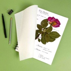 Clairefontaine A4 HERBIER BOTANICAL ART SKETCH BOOK 180gsm With Mousseline Paper