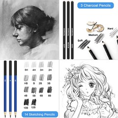 83 pcs Professional Drawing Artist Kit Set Pencils and Sketch Charcoal & Bag