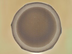 Bamboo Sieve: Extra Fine For Traditional Japanese Kintsugi