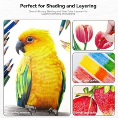 Arrtx 126 Colored Pencil Set Soft Core Coloring Pencil for Adult Artist Beginner