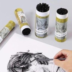 HAUSTGO 100PCS/PACK Willow Charcoal Sticks – Natural for Artists Beginners, or