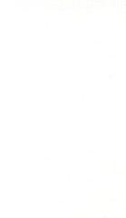 Versatile Fine Paint Marker 8mm – Water-based Titanium White for Any Surface