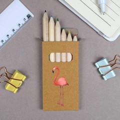 6 x ‘Standing Flamingo’ Short 85mm Pencils / Coloured Pencil Set (PE00076826)
