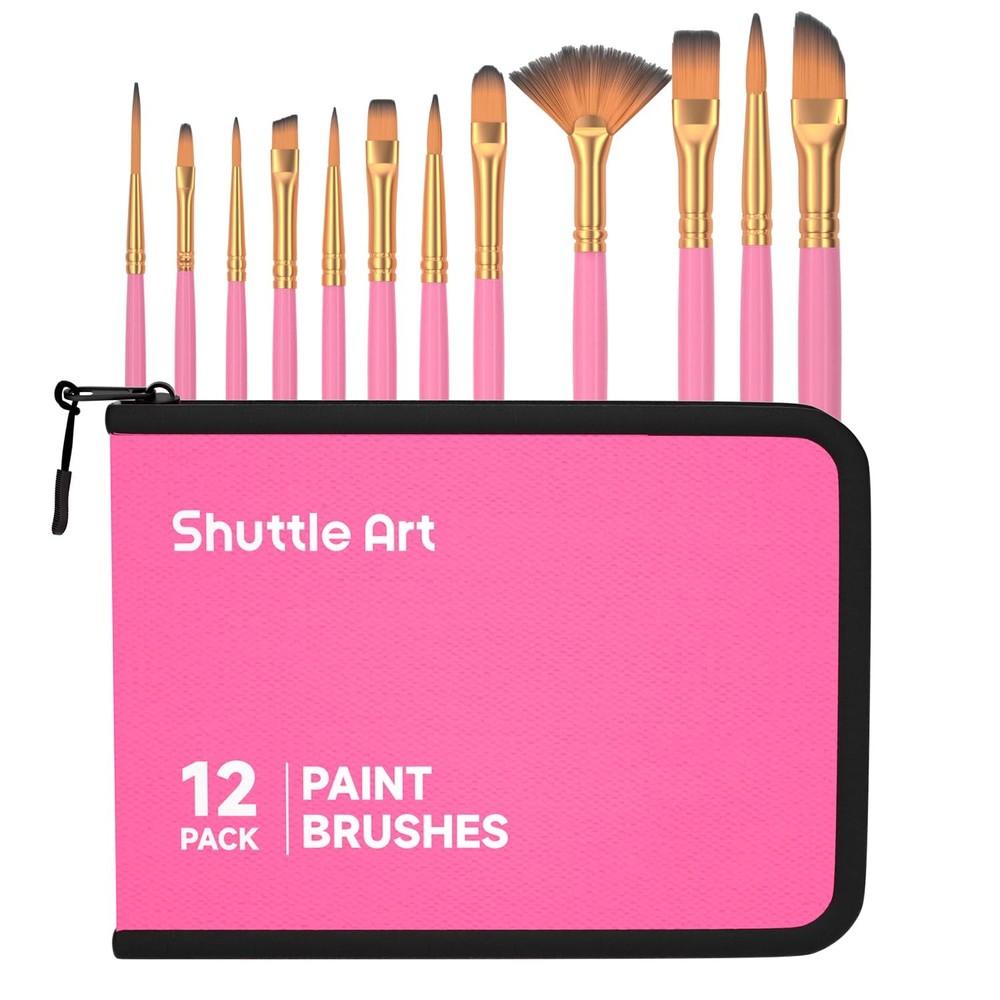 12 PCS Paint Brush Set with Case, Assorted Shapes & Sizes for Acrylic, Waterc…
