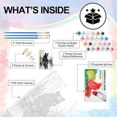 Framed Paint by Numbers Kit for Adults Beginner & Kids Ages 8×12 Inch YOP0201