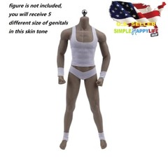 5 x BIG 1/6 scale male Dark skin genitals Penis for 12″ Male Body Phicen ❶USA❶