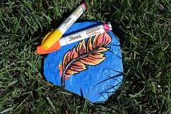 Versatile Oil-Based Paint Markers, Quick-Drying & Water-Resistant Ink – 5 Pack